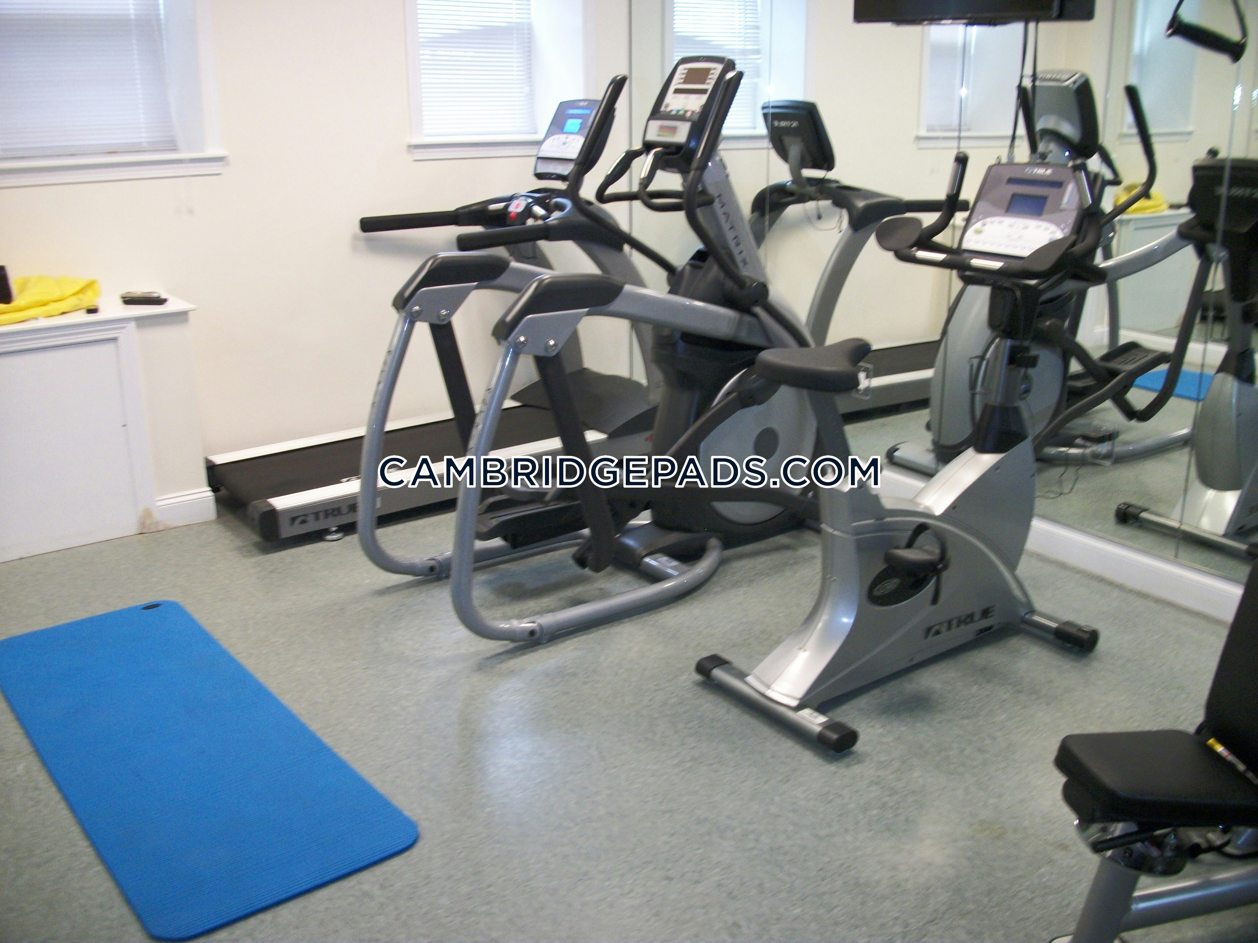 2 Beds 1 Bath - Cambridge - Harvard Square $2,955