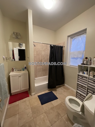 Allston 2 Beds 1 Bath Boston - $2,800 No Fee