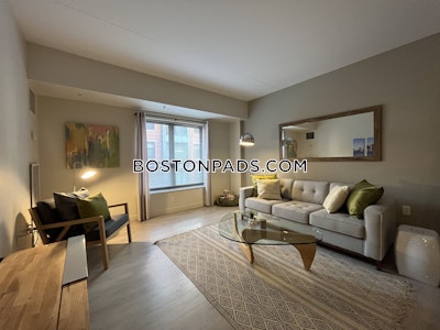 South End Luxury 1 Bed 1 Bath on Harrison Ave. in South End  Boston - $3,380