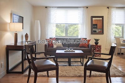 Brighton Apartment for rent 1 Bedroom 1 Bath Boston - $3,447 No Fee