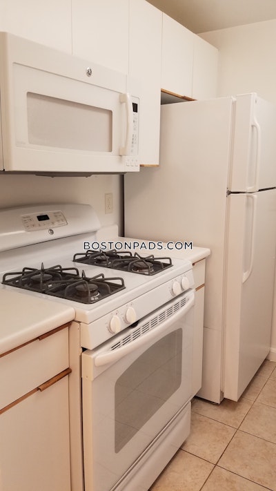 Brookline Apartment for rent 2 Bedrooms 2 Baths  Chestnut Hill - $3,055 No Fee