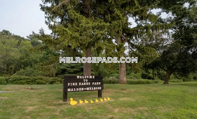 Melrose Apartment for rent 1 Bedroom 1 Bath - $2,869 No Fee