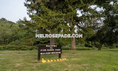 Melrose Apartment for rent 2 Bedrooms 2 Baths - $3,401 No Fee