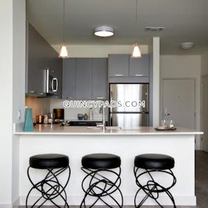 Quincy Apartment for rent 1 Bedroom 1 Bath  Quincy Center - $2,767 No Fee