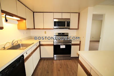 Allston Apartment for rent 2 Bedrooms 2 Baths Boston - $3,100 No Fee