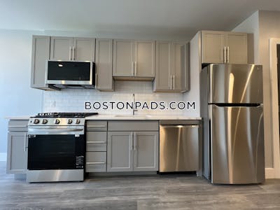 Brighton Apartment for rent 1 Bedroom 1 Bath Boston - $3,450 No Fee