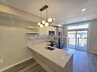 Roxbury Apartment for rent 3 Bedrooms 2.5 Baths Boston - $5,500 No Fee