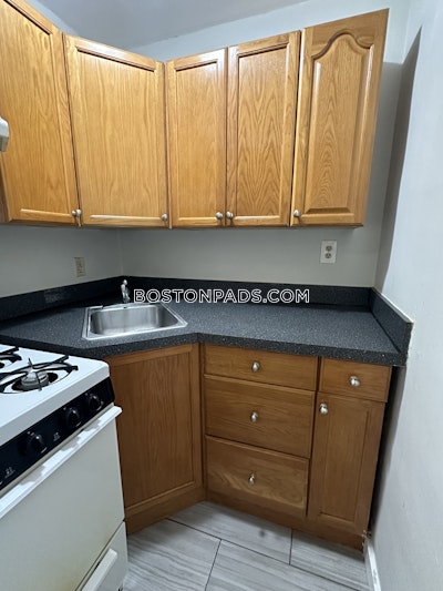 Northeastern/symphony Apartment for rent Studio 1 Bath Boston - $2,325 No Fee