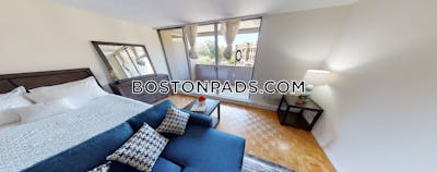 Brighton Apartment for rent 1 Bedroom 1 Bath Boston - $2,600 No Fee