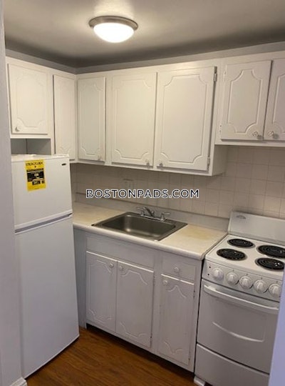 Allston/brighton Border Apartment for rent 1 Bedroom 1 Bath Boston - $2,300 No Fee