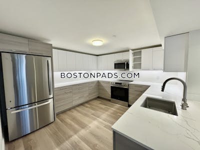 Allston Apartment for rent 2 Bedrooms 2.5 Baths Boston - $3,850 No Fee